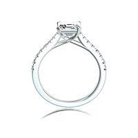 Dalia Claw Set