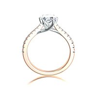 Dalia Claw Set