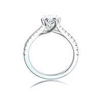 Dalia Claw Set