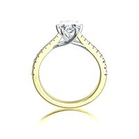 Dalia Claw Set