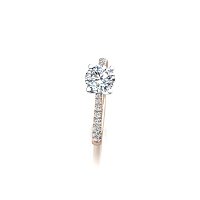 Dalia Claw Set