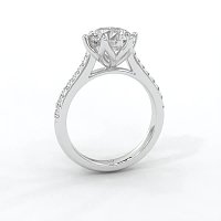 Tulip Claw Set