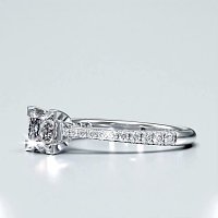 Cathedral Claw set