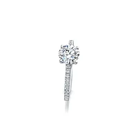 Cara Fine Claw set
