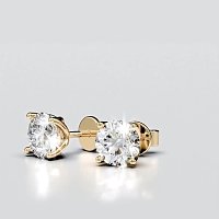 Tulip Claw Set Earrings