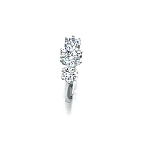 Tulip 3 Stone