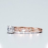 Petite Marquise