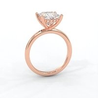 Ariel 4 Claw