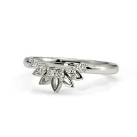 Tulip Blossom Petal leaf