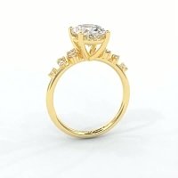 Cluster Ring