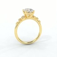 Cluster Ring