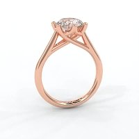 Dalia 6 Shared Claws Engagement Ring