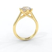Dalia 6 Shared Claws Engagement Ring