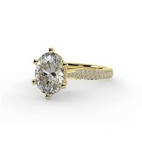 Cathedral Pave Set 6 Claws with Diamond Bridge
