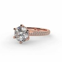 Cathedral Pave Set 6 Claws with Diamond Bridge