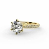 Cathedral Pave Set 6 Claws with Diamond Bridge