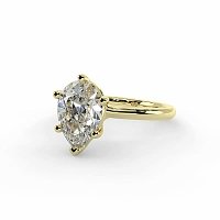 Rene