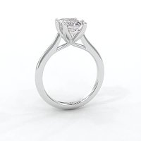 Tulip Cathedral Solitaire with 6 Claws