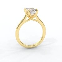 Tulip Cathedral Solitaire with 6 Claws
