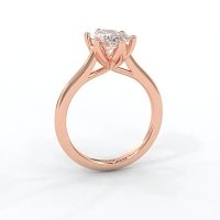 Tulip Cathedral Solitaire with 6 Claws