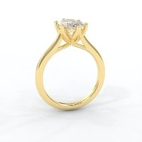 Tulip Cathedral Solitaire with 6 Claws