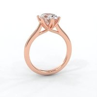 Tulip Cathedral Solitaire with 6 Claws