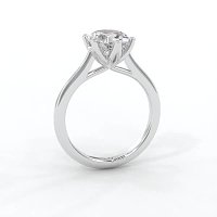 Tulip Cathedral Solitaire with 6 Claws