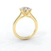 Tulip Cathedral Solitaire with 6 Claws