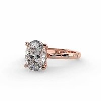 Ariel with Hammer set Diamonds on Band