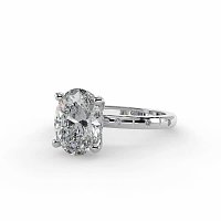 Ariel with Hammer set Diamonds on Band
