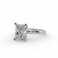 Ariel with Hammer set Diamonds on Band