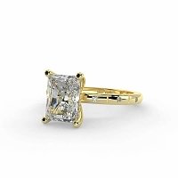 Ariel with Hammer set Diamonds on Band