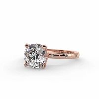 Ariel with Hammer set Diamonds on Band