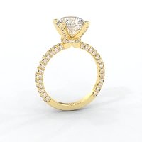 Tulip with Diamond Crown and Claw Set Diamond on Band