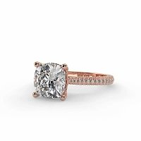 Cathedral with Hidden Halo and Diamond Pave Band