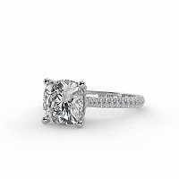 Cathedral with Hidden Halo and Diamond Pave Band