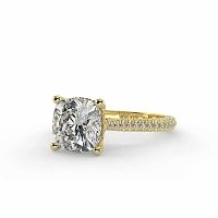 Cathedral with Hidden Halo and Diamond Pave Band