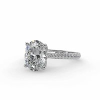 Cathedral with Hidden Halo and Diamond Pave Band