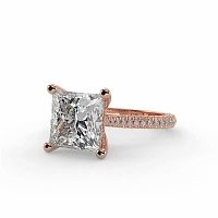 Cathedral with Hidden Halo and Diamond Pave Band