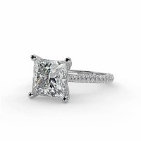 Cathedral with Hidden Halo and Diamond Pave Band