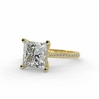 Cathedral with Hidden Halo and Diamond Pave Band