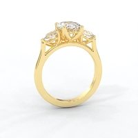 Tulip 3 Stones with Cathedral Band