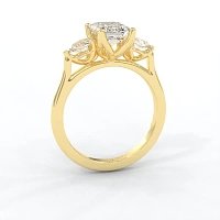 Tulip 3 Stones with Cathedral Band