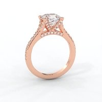Cathedral with Diamonds on Split Band