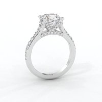 Cathedral with Diamonds on Split Band