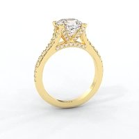 Cathedral with Diamonds on Split Band
