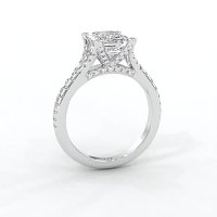 Cathedral with Diamonds on Split Band