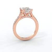 Cathedral with Diamonds on Split Band