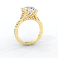 Cathedral with Diamonds on Split Band