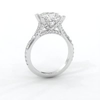 Cathedral with Diamonds on Split Band